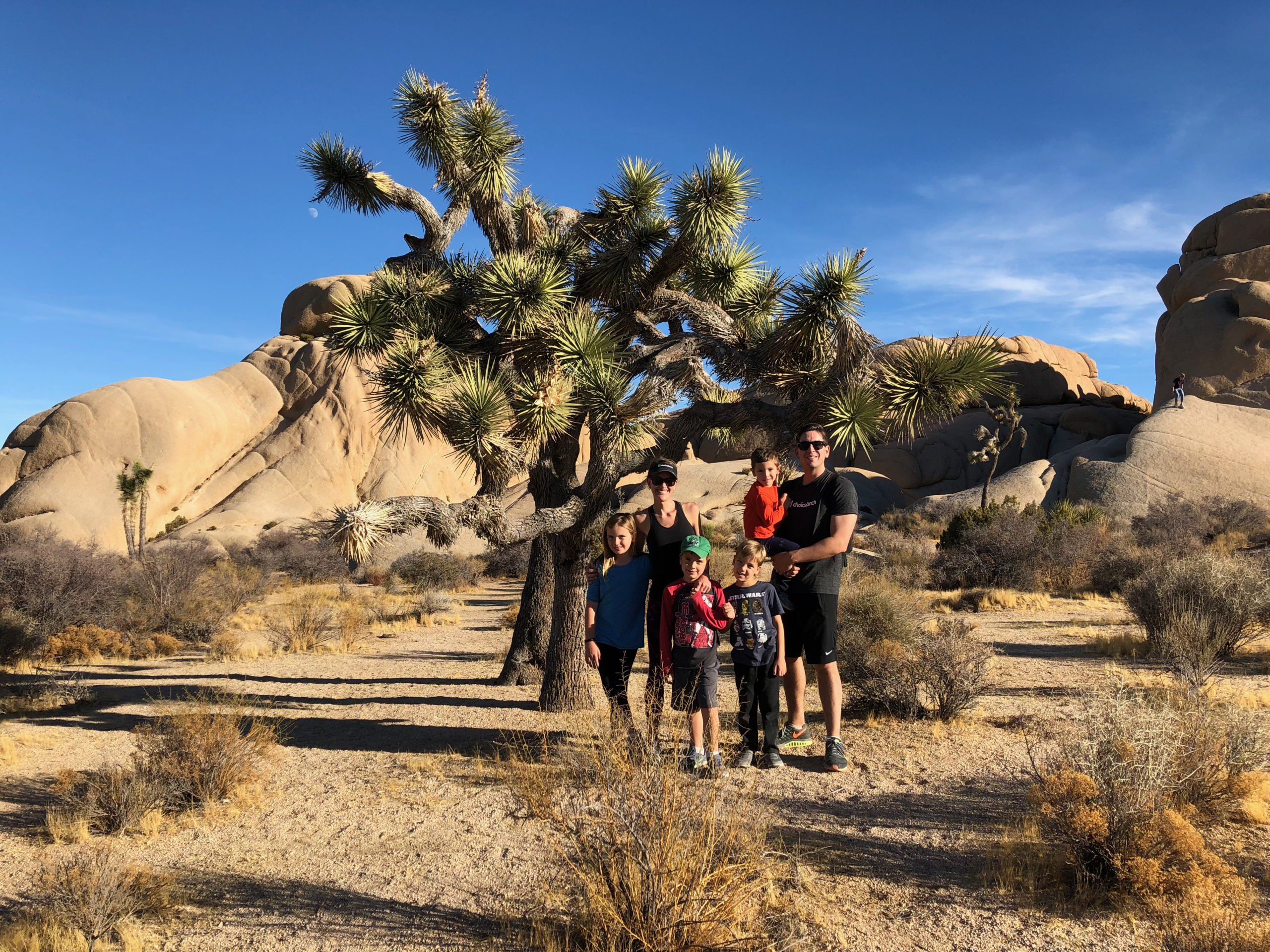 Throw-In-Some-Rocks-Two-Days-In-Joshua-Tree-National-Park-FeaturedF.jpeg